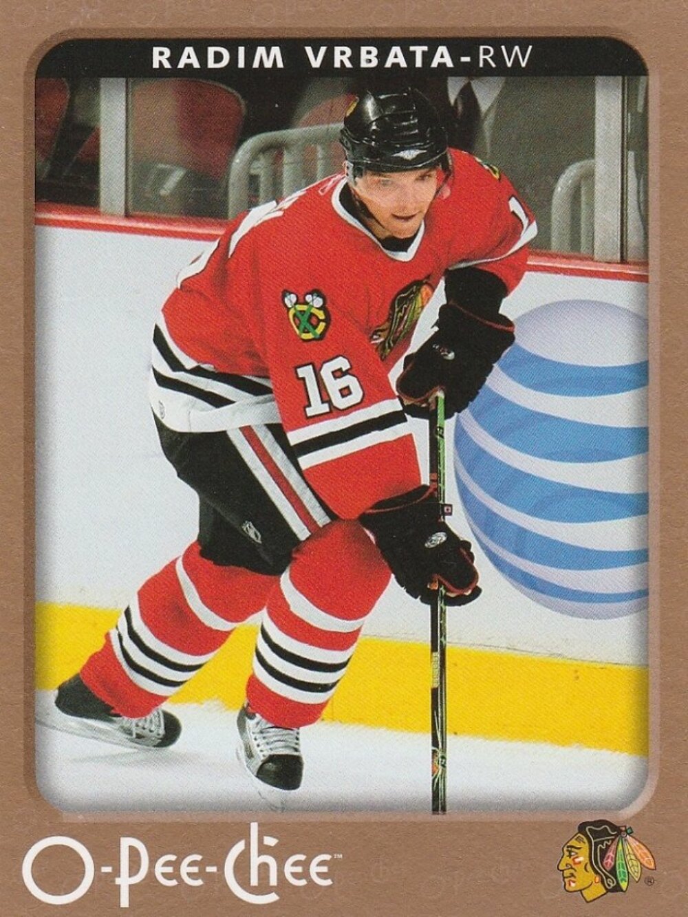 Radim Vrbata Hockey Card